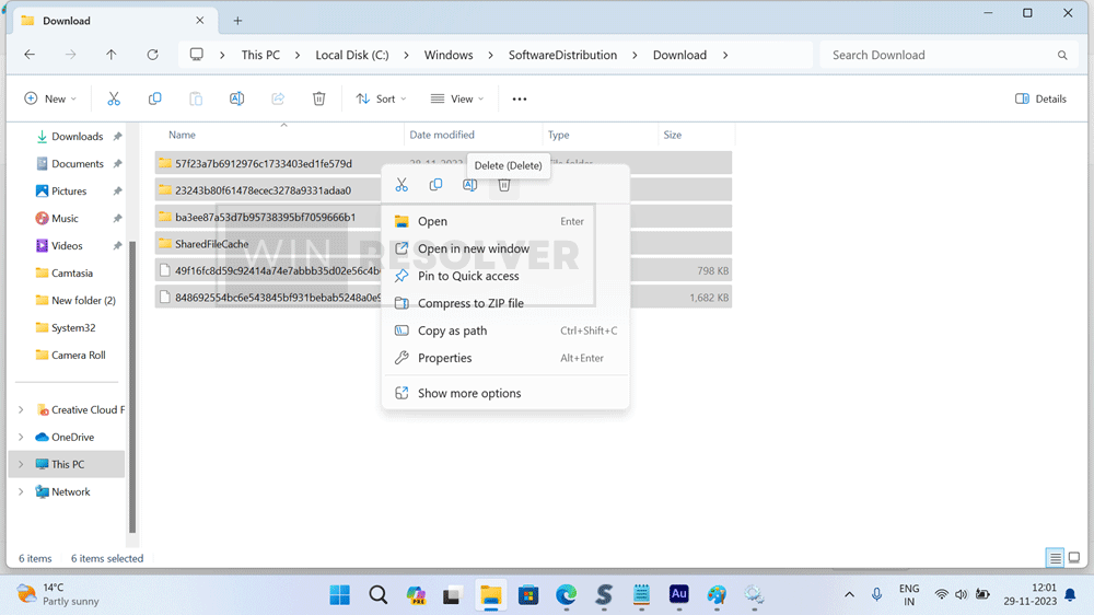 delete download folder in software distribution folder in windows 11